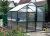 Picture of Exaco Rose 2 Greenhouse Dark Green